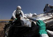 Nhật Bản lại rung chuyển đúng 1 tháng sau thảm họa kép