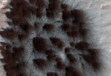 Sửng sốt phát hiện nhện khổng lồ trên sao Hỏa?