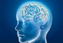 Đã tìm ra cách đọc ý nghĩ