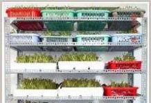 Công nghệ sinh học nâng sức cạnh tranh cho hàng nông sản