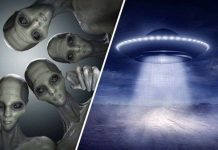 CIA: Người ngoài hành tinh hóa đá 23 binh sĩ Liên Xô?