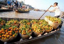 3 phương án ứng phó với biến đổi khí hậu 3 phương án ứng phó với biến đổi khí hậu