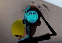 Bí ẩn khoa học đằng sau cảm xúc rung động đầu đời