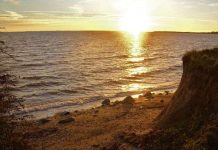 Biến đổi khí hậu tạo điều kiện cho vi khuẩn phát tán ở Bắc Âu