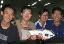 Robot cá chép thông minh