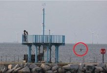 Vạch trần sự thật đằng sau bức ảnh thủy quái há mồm bên bờ biển