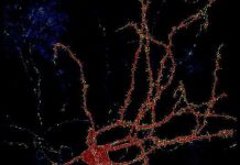 Tác dụng kỳ lạ của các vụ thử hạt nhân