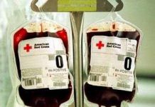 Đột phá trong sản xuất máu nhân tạo quy mô lớn