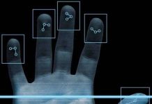 Nhận dạng sinh học: một mẩu tóc cũng đủ “bắt hình dong” Nhận dạng sinh học: một mẩu tóc cũng đủ "bắt hình dong"