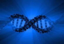 Microsoft mua hàng triệu sợi ADN để lưu trữ dữ liệu