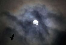 Động đất ở Trung Quốc làm 400 người chết Tưng bừng nhật thực toàn phần 29/3