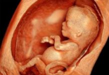 Những chuyện "không ngờ" xảy ra khi bạn nằm trong bụng mẹ