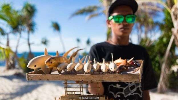 Nhờ có cá mập, đảo ngọc du lịch tại Philippines hồi sinh thần kì