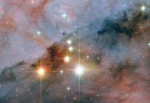 Hình ảnh ấn tượng về sao ma mút