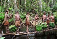 Kỳ lạ bộ lạc duy nhất không sống ở mặt đất