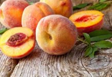 Nghiên cứu bộ gene cây đào để sản xuất nhiên liệu