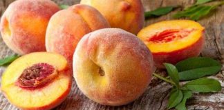 Nghiên cứu bộ gene cây đào để sản xuất nhiên liệu