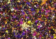 Nuôi cấy thành công tế bào thần kinh từ máu tươi