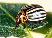 Hàng ngàn hóa chất cần được đánh giá lại về độc tính