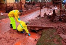 Nghiên cứu xử lý bùn đỏ bô xít thành đất trồng Nghiên cứu xử lý bùn đỏ bô xít thành đất trồng