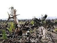 Asean đối phó với sự thay đổi khí hậu