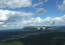 Cácbon hữu cơ giải phóng từ cây ảnh hưởng không khí