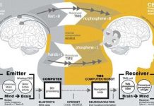 Khả năng “thần giao cách cảm” không còn quá xa vời