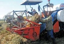 “Ông kỹ sư” trên đồng ruộng châu Phi