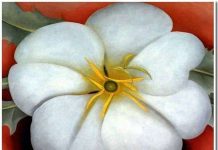 Tại sao hoa lại đẹp?