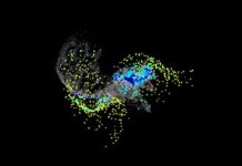 Những chòm sao 13 tỉ năm tuổi Những chòm sao 13 tỉ năm tuổi