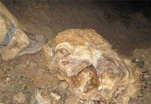 Phát hiện mỏ vàng huyền thoại thế giới trị giá 1,7 tỷ USD?