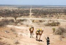 Tháo chạy ồ ạt do biến đổi khí hậu