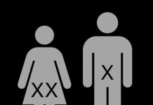 Vì sao nam thường cao hơn nữ?