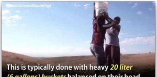 Ý tưởng đơn giản này đã cứu giúp hàng chục nghìn người dân nghèo châu Phi