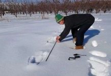 Loạt dấu chân khổng lồ trên tuyết, nghi là của quái vật Bigfoot Loạt dấu chân khổng lồ trên tuyết, nghi là của quái vật Bigfoot