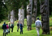 Nhiều cây khổng lồ ở công viên quốc gia Gwaii Haanas