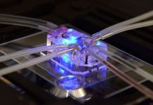 "Chip phổi" và triển vọng thay thế nghiên cứu trên động vật