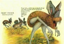 Không thể tin được đây là những loài sinh vật sẽ sống cùng ta trong tương lai