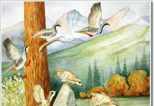 Chim học cách bay như thế nào?