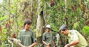 TP.HCM: Thả 43 động vật quý về rừng