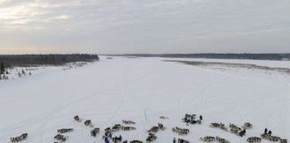 5 căn bệnh nguy hiểm tấn công loài người do biến đổi khí hậu