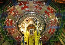 "Hạt của Chúa" được phát hiện từ 1 năm trước