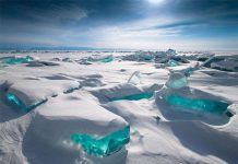 Vì sao Greenland thì toàn băng, trong khi Iceland phủ xanh cây cỏ?