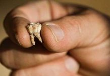 Trung Đông có thể là cái nôi của loài người