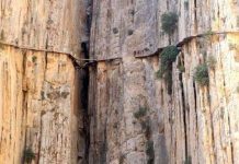 Con đường "tử thần", đáng sợ bậc nhất thế giới