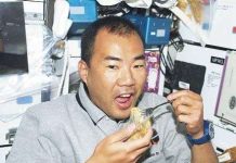 Côn trùng… lương thực của phi hành gia trong tương lai Côn trùng... lương thực của phi hành gia trong tương lai