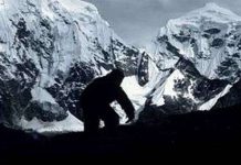 Bí ẩn về "Người tuyết" đã được giải mã?