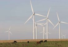 Thế giới vào kỷ nguyên của năng lượng tái sinh