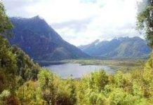 Mua đất để cứu hành tinh