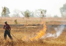 JICA hỗ trợ việc giảm thiểu phát thải khí nhà kính JICA hỗ trợ việc giảm thiểu phát thải khí nhà kính